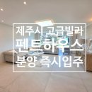 제주아일랜드공인중개사사무소 | 제주시 고급빌라 광령리 아일랜드힐2차 애월 펜트하우스/풀옵션 즉시입주/바다 영구조망