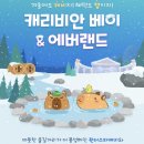 씨유속초스파랜드점 | 2026 즐거운 겨울 캐리비안베이 &amp; 에버랜드 오후권(15시~)