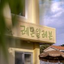 레몬일레븐