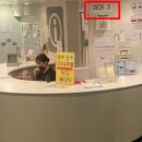 카멜리아 이미지