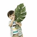 레드디어 이미지