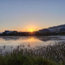 월미농장 이미지