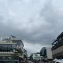 투엘브쓰포레스트
