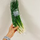 (주)진미환경 | [12월 다섯째 주 혈다 장보기] 집밥 장보기 ; 친구추천 10,000원 쿠폰 새벽배송 오아시스 마켓 / 이마트...