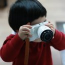 성원칼국수 이미지