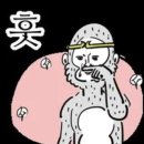 머리 잘하는 청량리미용실 추천 'W헤어' 머릿결 클리닉 관리 후기