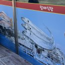 할매식당 | 제주도 서귀포 할매식당 갈치조림 내돈내산 솔직후기