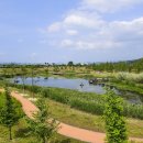 요천생태습지공원 애견놀이터 이미지