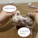 (12/13오후) 나만의 향수 만들기 | 북촌 놀거리 찾는다면? 향수 만들기 체험 카넬라 방문 후기