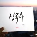 상록수노래광장