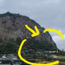 안덕면 용머리 공영주차장 입구 이미지