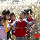 민둥산운동장 3 이미지