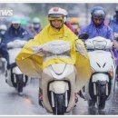 연동배수펌프장 이미지