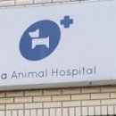 벨라동물병원 이미지