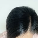 엠더블유스타일 | 리스킨 HAMOCELL 더블유헤어로스샴푸, 탈모개선과 두피스케일링방법 사용 후기