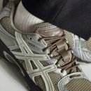 넥서스그린 이미지