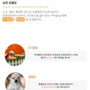 놀러오개 애견 유치원 애견 호텔 | 랜드] &lt;놀러오개 애견유치원 &amp; 애견호텔 용인 에버랜드점&gt; 위치·요금· 매우 만족스러운 실제 이용 후기🧡