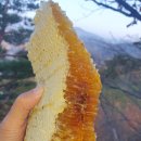 진옥농장 이미지