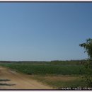 나은농장 이미지