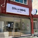 스텔라봉 이미지