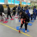 고려대승리태권도 이미지