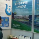 대한민국 축구팀 1부리그~4부리그 총정리 (루머포함자료) 이미지