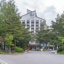 여울가의산책 | 평창 여행 :: 모나파크 용평리조트 드래곤밸리호텔 숙박 후기 & 발왕산성 일루미네이션