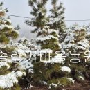 솔향기마을 이미지