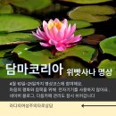 [담마코리아 명상참여]4월 10일~21일까지 다음카페 쉬어갑니다. 이미지