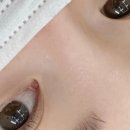 주주브로우