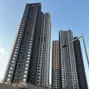길음역 미용실 모먼트영영 길음역롯데캐슬점 | 컷트 + 나노힐클리닉 후기