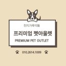빛가람동물병원