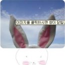 큐싸인광고