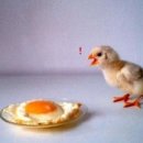 에그머니나 이미지