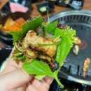 초량 돼지갈비 이미지