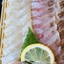 김삿갓 노래연습장 이미지