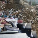 양지-3317 이미지