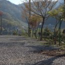 남이섬힐링캠핑장 이미지