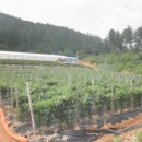 백의1리 마을회관 이미지