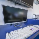 라자비(raza b) 이미지