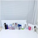 비비퍼피 강아지분양 일산점 이미지