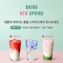 스프링가든 이미지