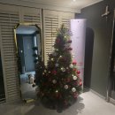 리커맨드 | 강남 맞춤가발 전문 리커맨드 hair LAB 후기