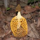 민주지산자연휴양림 이미지