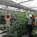 화순군농업기술센터 이미지