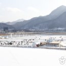 재래시장 먹거리와 겨울 스포츠의 향연,정선 고드름축제 이미지