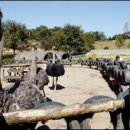 화성목장 이미지