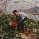 박정미농장 네이버블로그