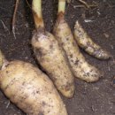 민속한의원 이미지