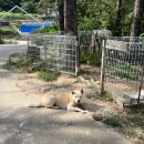 머물인 어우림 이미지